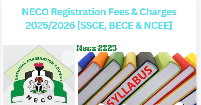 NECO Fees, Payment Items Codes & Prices 2025/2026