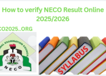 How to verify NECO Result Online 2025/2026