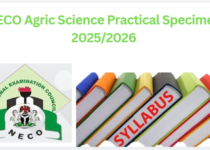 NECO Agric Science Practical Specimen 2025/2026