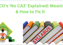 NECO's 'No CA3' Explained: Meaning & How to Fix It