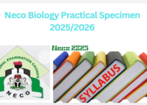 Neco Biology Practical Specimen 2025/2026