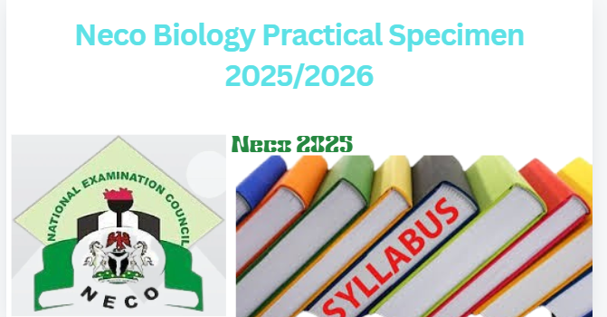 Neco Biology Practical Specimen 2025/2026