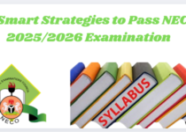 15 Smart Strategies to Pass NECO 2025/2026 Examination