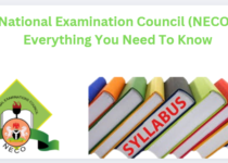 National Examination Council (NECO): Everything You Need To Know